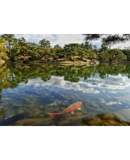 HỒ VÀ AO LỚN - Lake & Large Pond