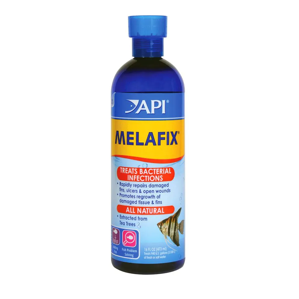 API - Melafix - Trị nhiễm khuẩn cho cá nước ngọt